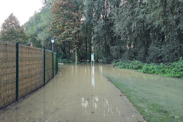 The resilient path, still leading forward