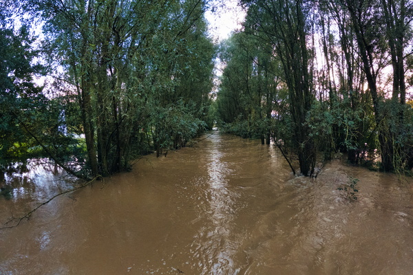 Alzette decided to go swimming