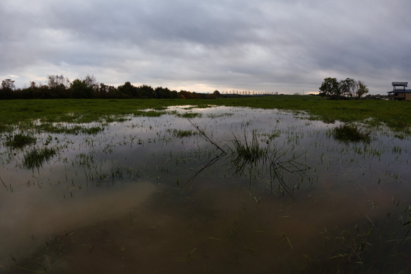 Where water reflects the sky