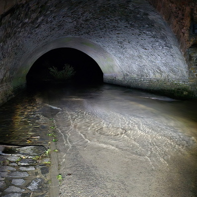 20241013_204221.jpg