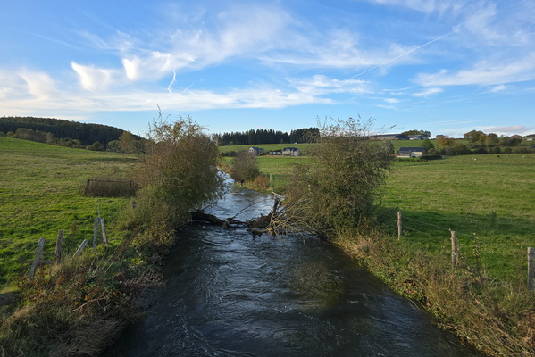 Branching out and flowing on