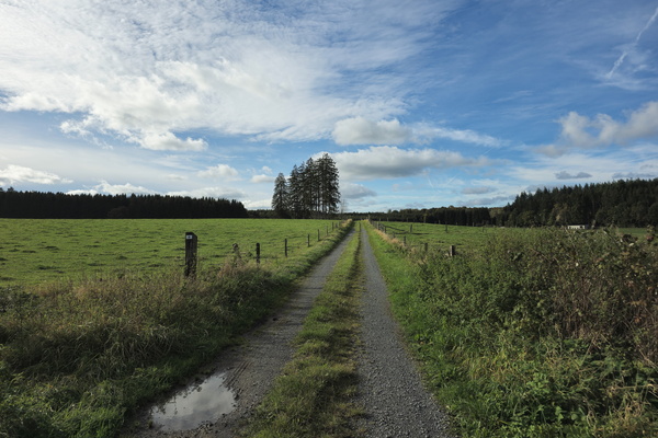 Another boring road in the middle of nowhere