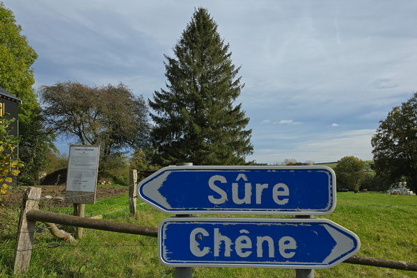 Which way to the cheese?