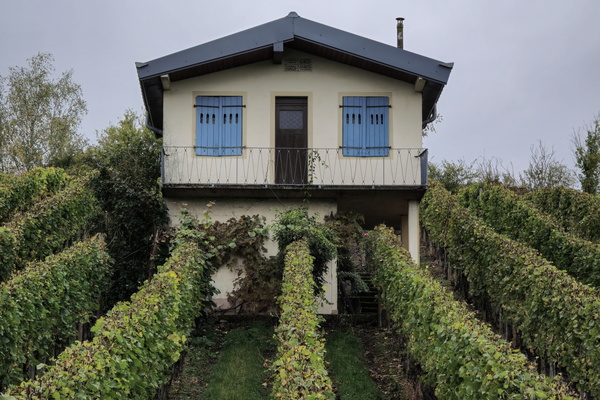 Shutters and vines, the French dream