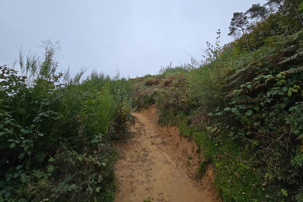 The path calls to adventure!