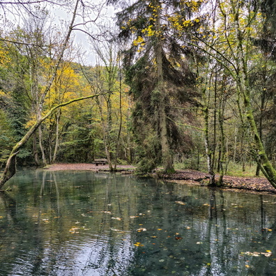 20241015_181633.jpg