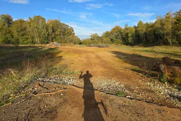 My shadow is having a better day than I am