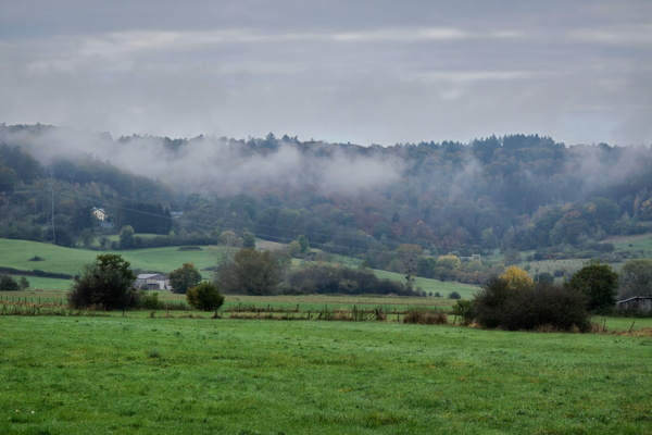 Mist-eriously scenic