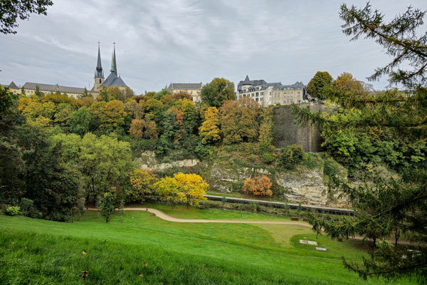 Spires and trees: what's the difference?