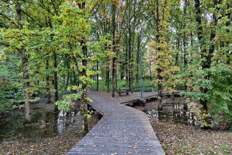 20241016_184028.jpg