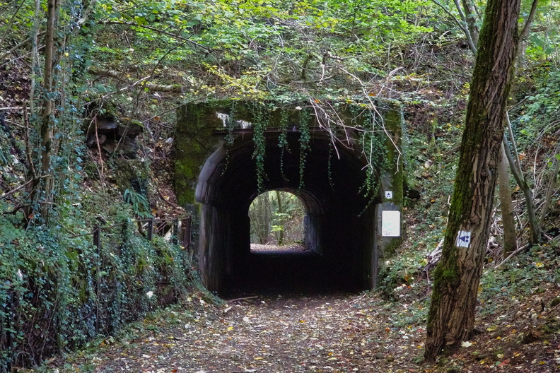 20241016_172350.jpg