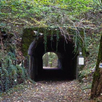 20241016_172350.jpg