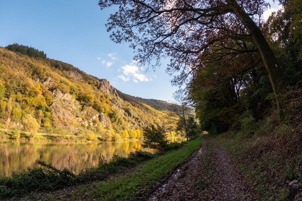 Autumn's golden river path