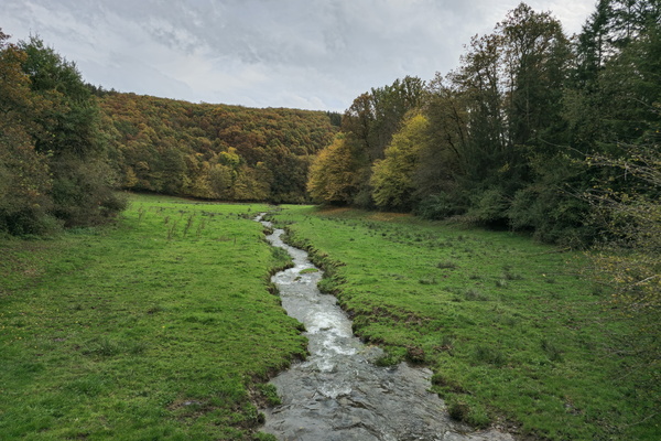A stream runs through it
