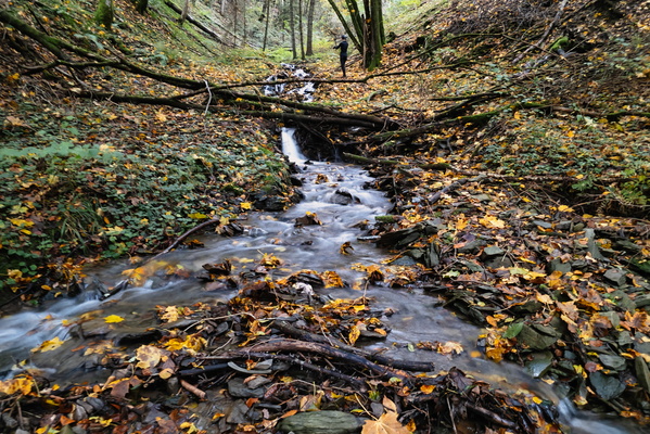 A moment of peace in nature's symphony