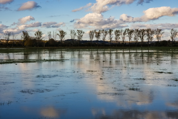 When the puddles take over the world