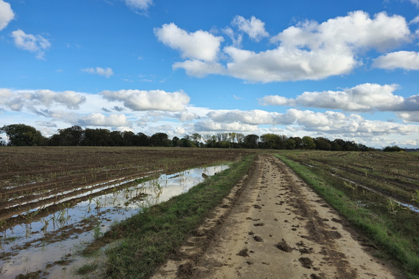 Let's take the road less travelled