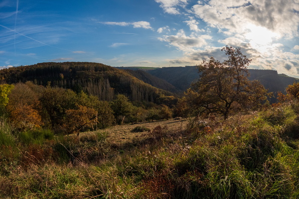Autumn's embrace on the hills