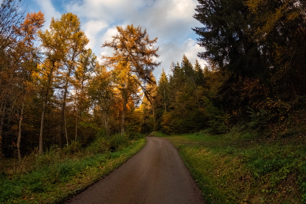 When the road asks for more autumn