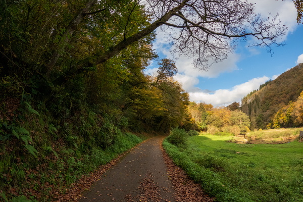 A perfect autumn stroll