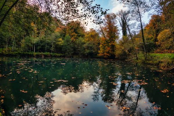 A mirrored heart of the woods