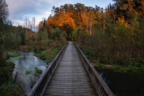 Autumn's embrace on the Ernz