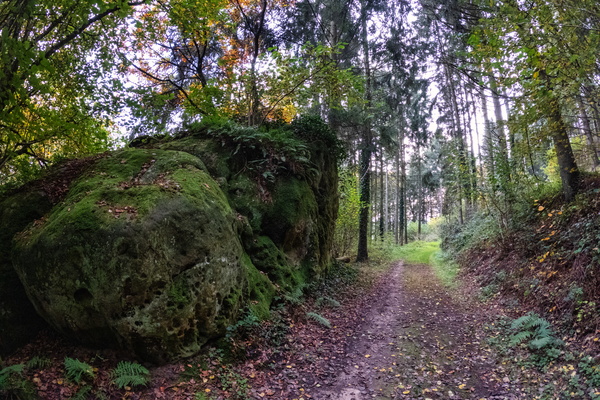 Mossy rocks and a path less travelled