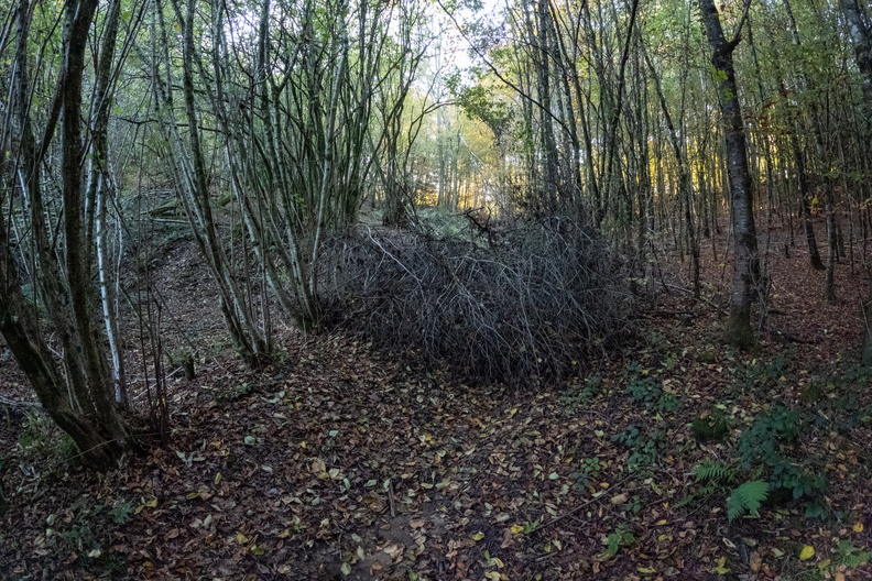 20241023_164046.jpg