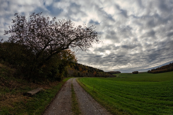 The whisper of the way, the rhythm of the clouds