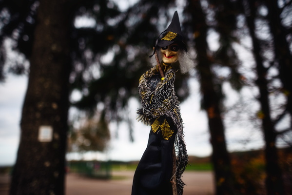 Witching you a spooky ride