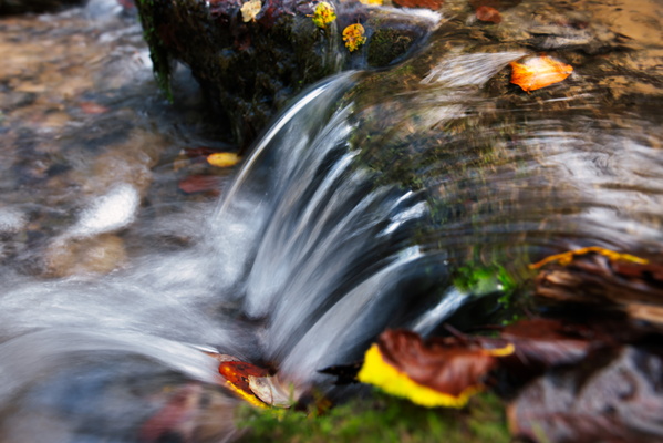 A liquid dance