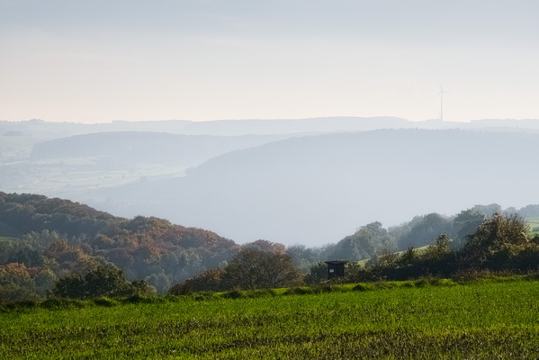 A misty embrace of rolling hills