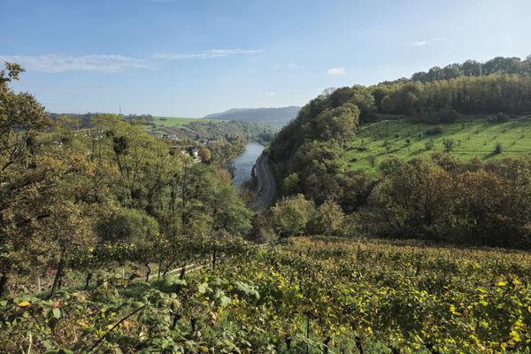 Vineyards and views, the perfect pair for a Sunday stumble