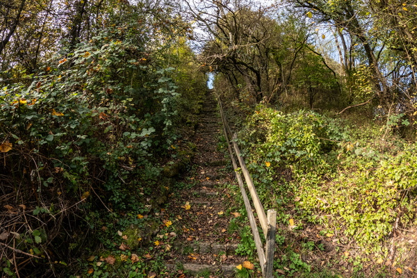 Oh joy, more steps