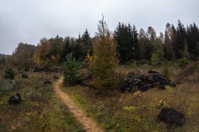 20241031_170833.jpg