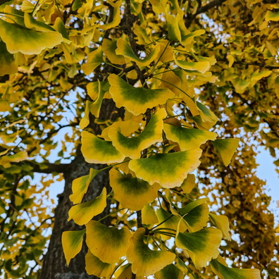 20241030_165620.jpg
