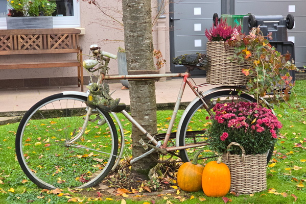 Rusty ride and pumpkin pals