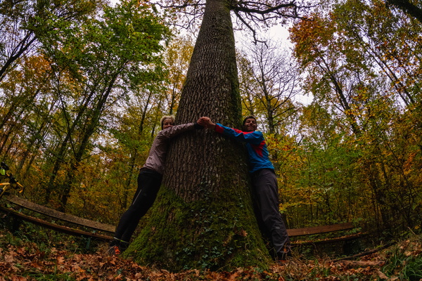 Tree huggers and a very wide lens