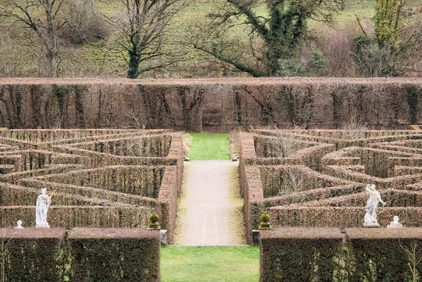 Lost in the hedge maze