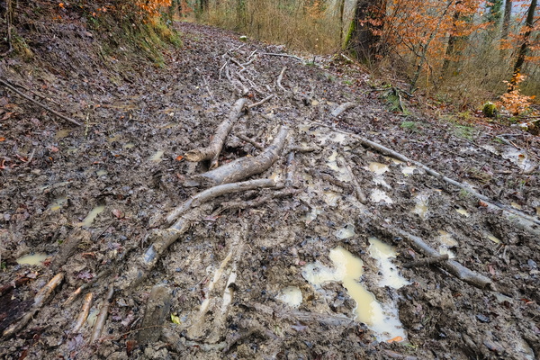 Slip 'n' slide trail