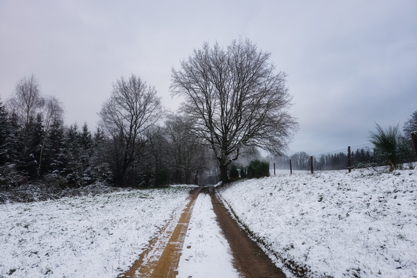 Snow way this is boring!