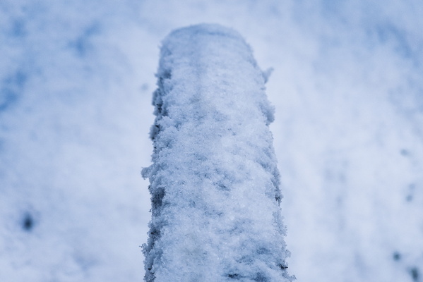 Nature's epic post