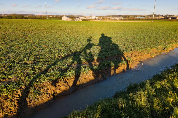 Two shadows on the go