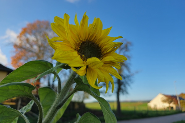 A final splash of sunshine