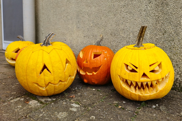 Meet the spooky squad