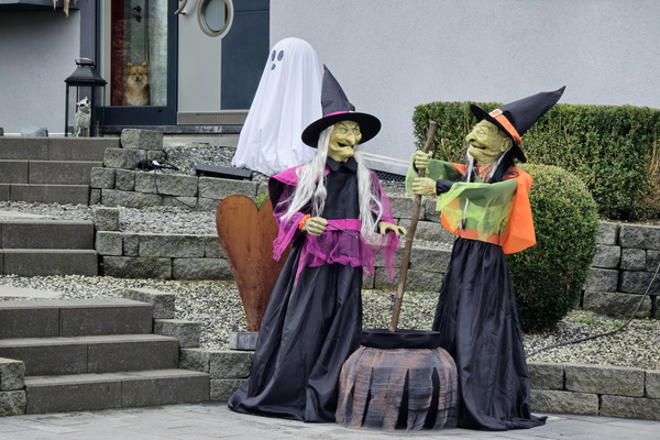 Double, double, toil and trouble... and a dog in the window!