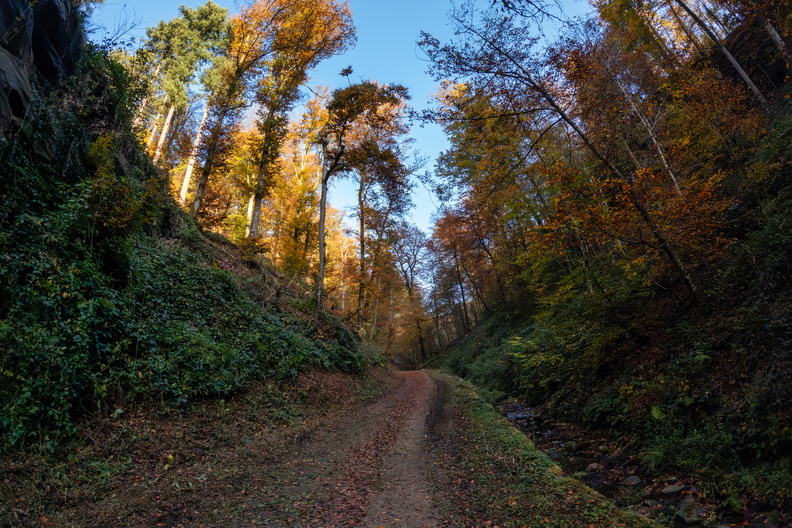 20241101_152340.jpg
