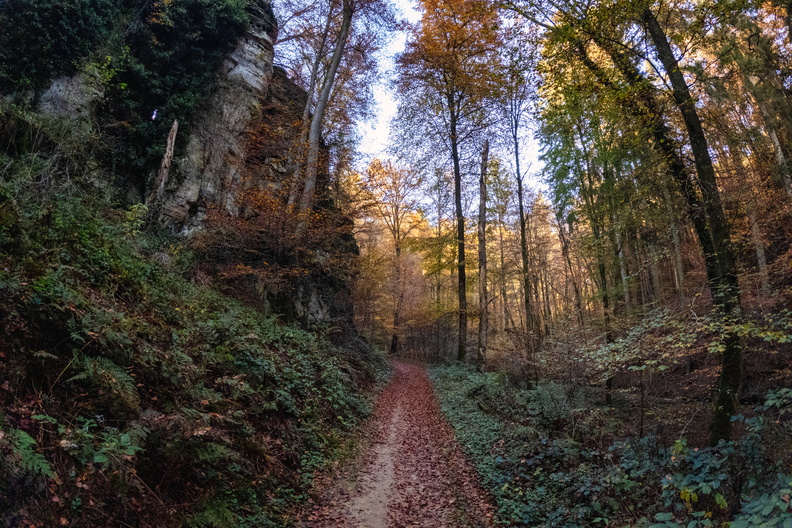 20241101_150357.jpg