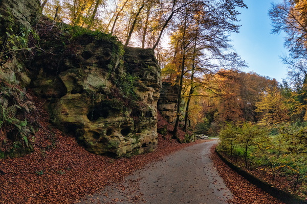 Autumn's embrace, rugged beauty
