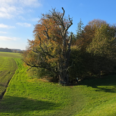 20241101_145057.jpg